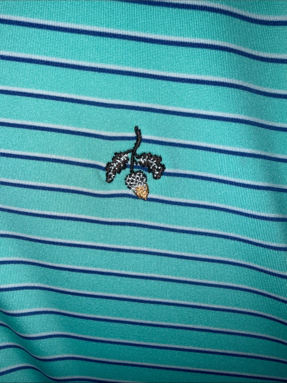 Holderness & Bourne Men's Light Aqua Striped Polo with Embroidered Acorn Logo - Picture 4 of 4